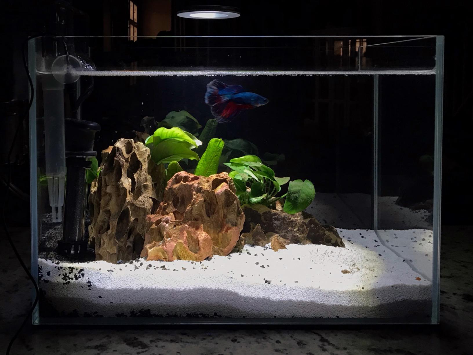 【Furniture】120P 72.2 Gallon Rimless Low Iron Aquarium Tank, 47.2" W x 19.7" D x 19.7" H 10mm Thickness