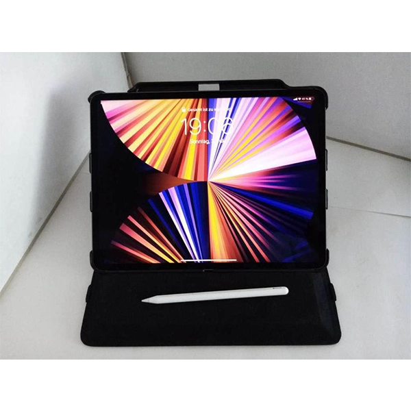 Apple iPad Pro 12,9" 1TB Cellular+ WiFi + Apple Pencil und Case