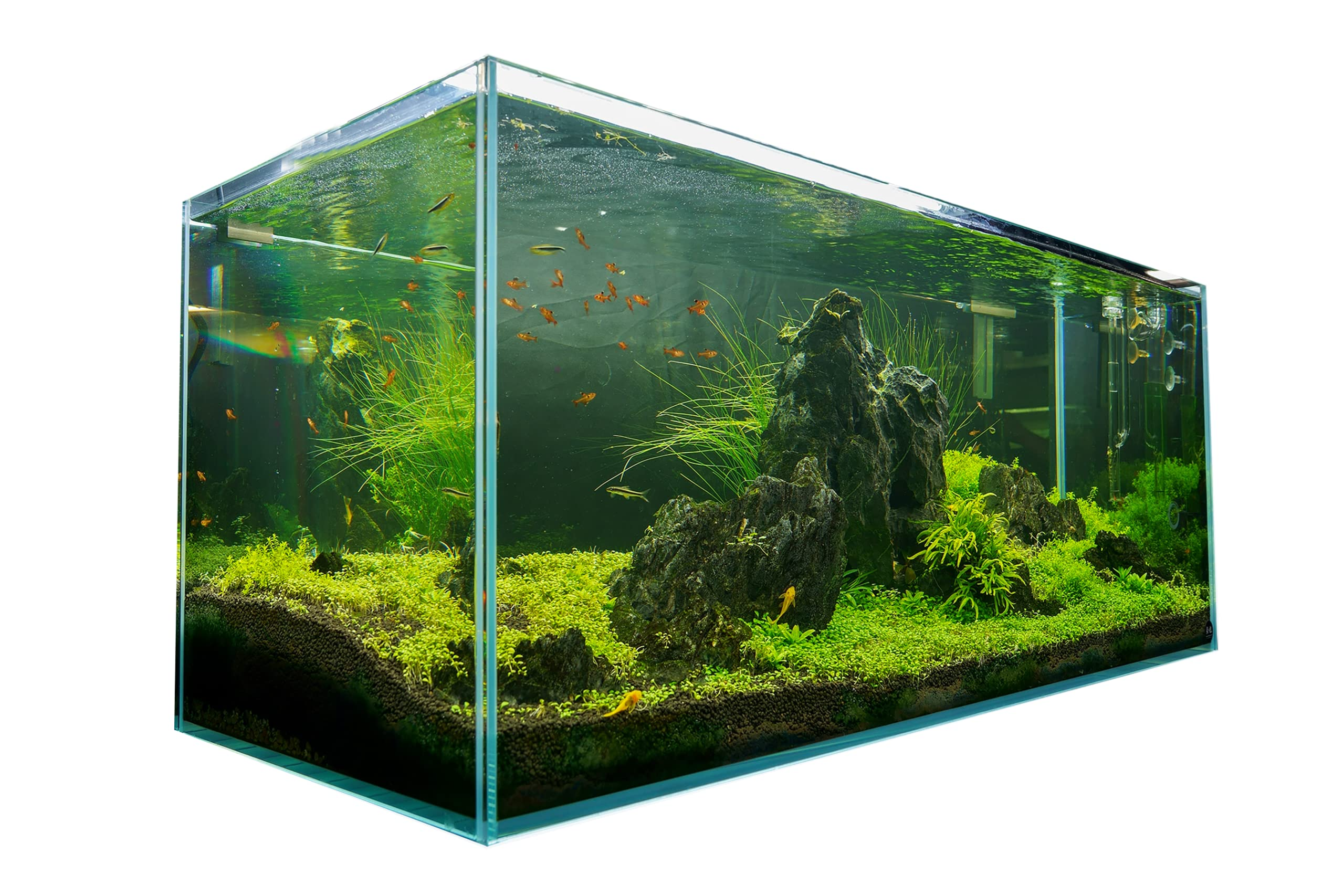 【Furniture】120P 72.2 Gallon Rimless Low Iron Aquarium Tank, 47.2" W x 19.7" D x 19.7" H 10mm Thickness