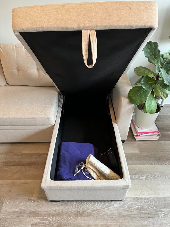 Devion Furniture Contemporary Reversible Sectional Sleeper Sectional Sofa with S